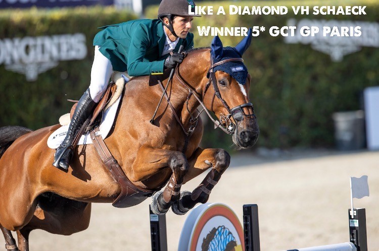 Like a Diamond vh Schaeck