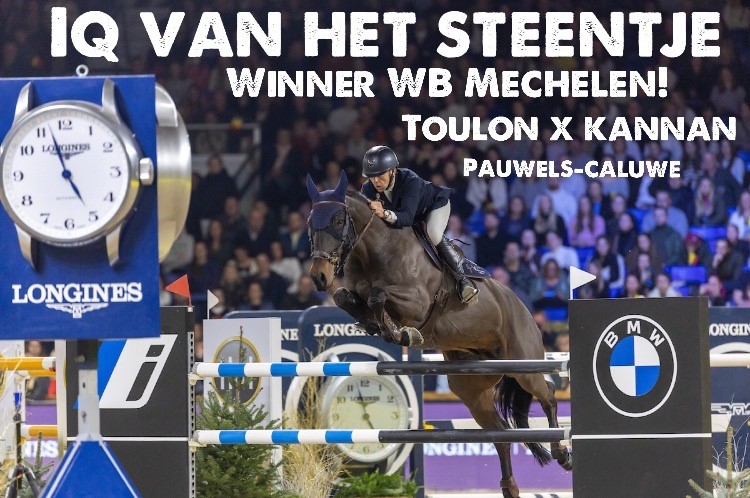 IQ van het steentje - wilm vermeir