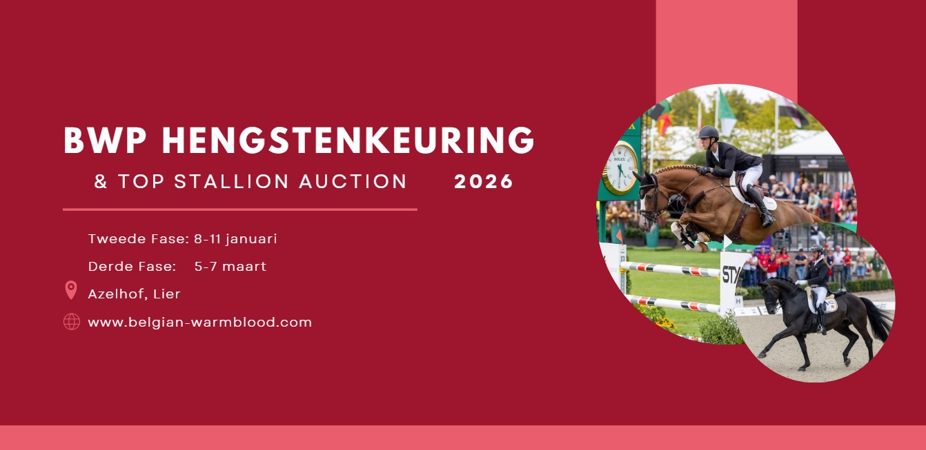 hengstenkeuring 2026