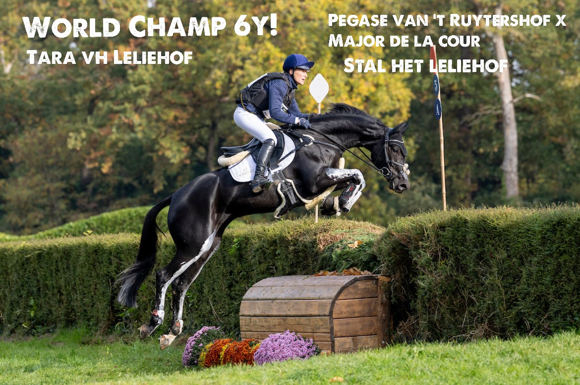 Tara vh Leliehof