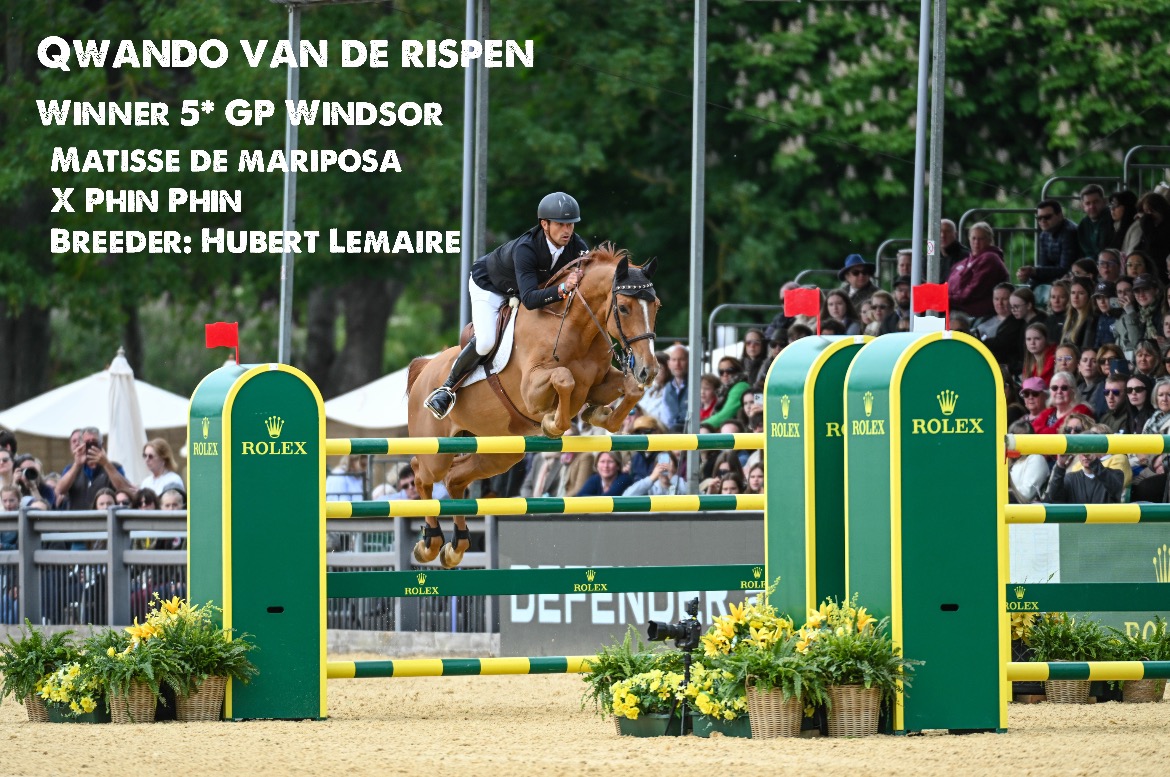 QWANDO VAN DE RISPEN
