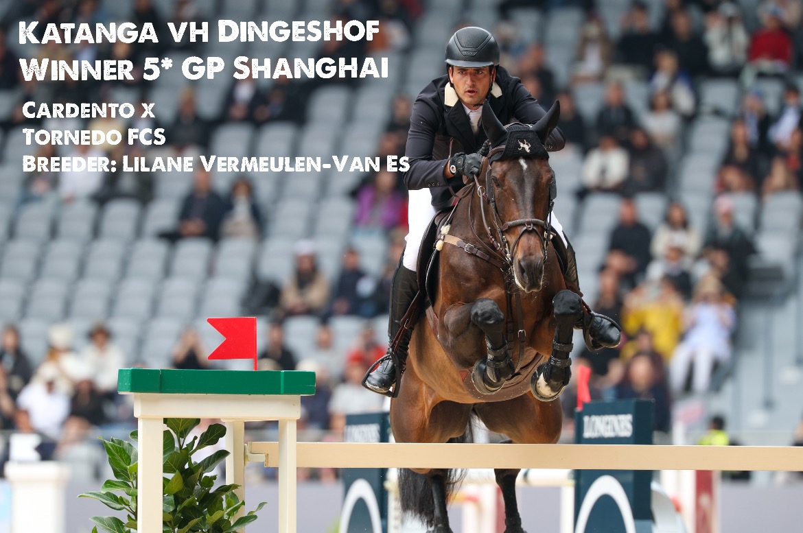 Katanga v-h Dingeshof 