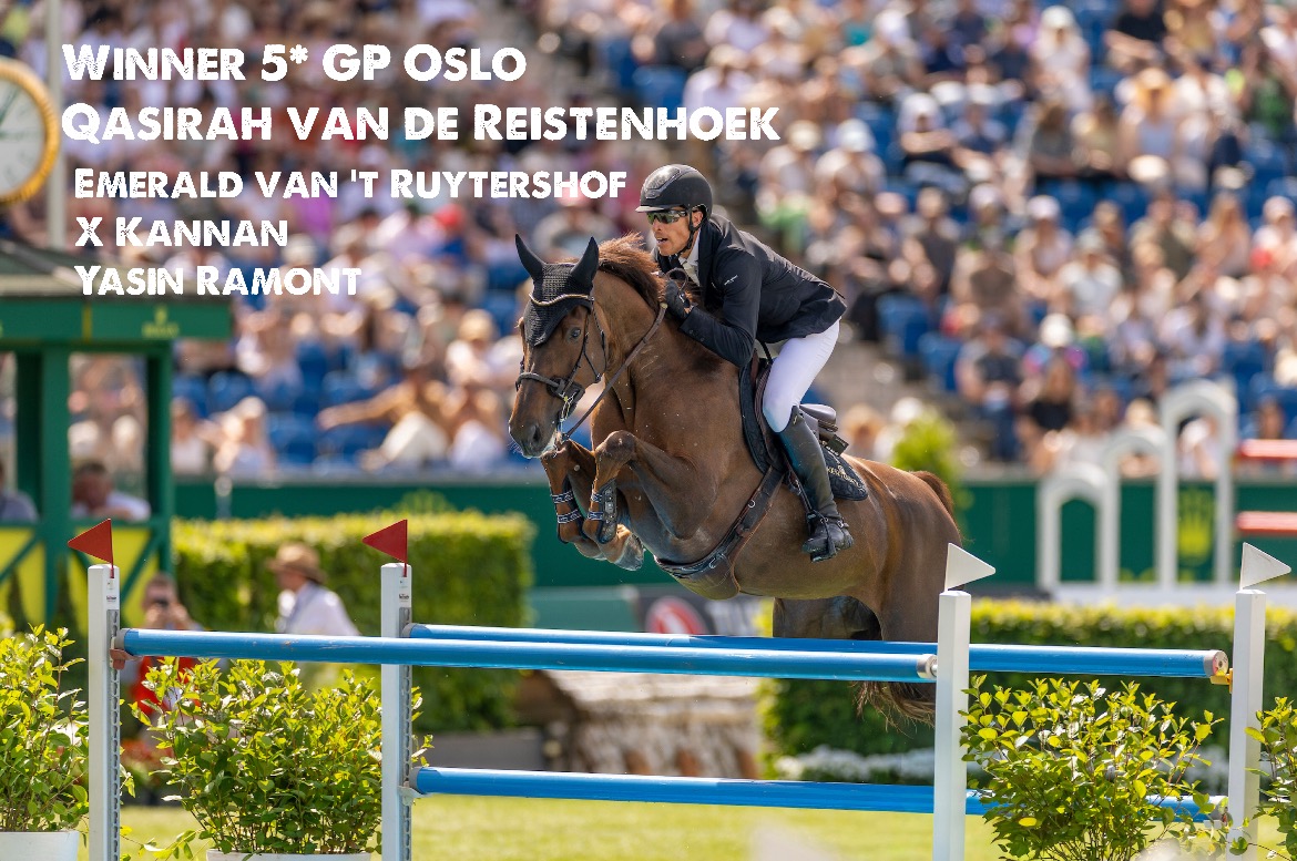QASIRAH VAN DE REISTENHOEK