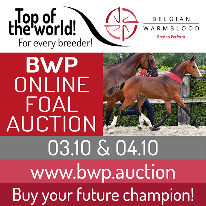 Online Foal Auction