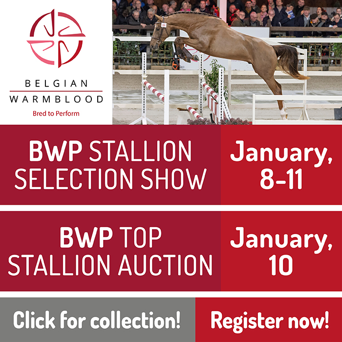 BWP Top Stallion Auction