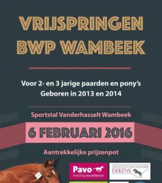 Oefenwedstrijd vrijspringen Wambeek Oefenwedstrijd vrijspringen Wambeek