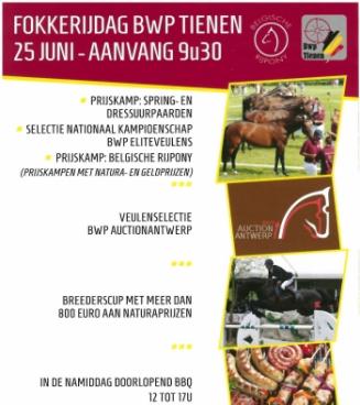 BRp prijskamp Brabant, Glabbeek BRp prijskamp Brabant, Glabbeek