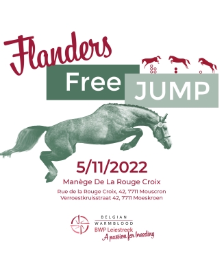 Flanders Free Jump