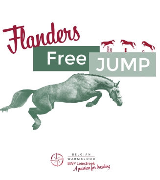 Flander Free Jump 16/09/2023