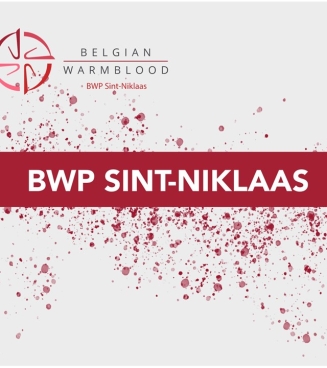 bwp sint-niklaas