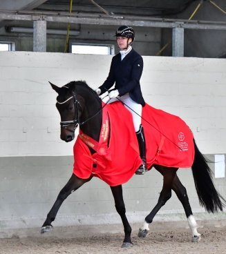 young dressage talents