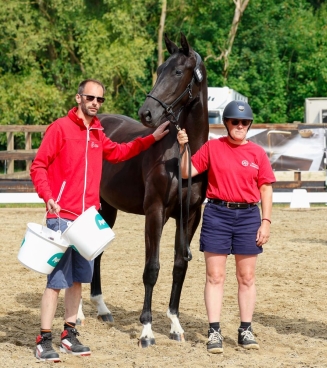 fokkerijdag BWP Tienen