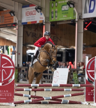 Hengstenkeuring 2027 - Derde fase
