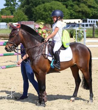 Wedstrijd Bestgaande Rijpony, Brabant AFGELAST!!!! Wedstrijd Bestgaande Rijpony, Brabant AFGELAST!!!!
