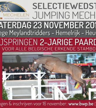 Vrijspringen 2-jarigen, BWP Limburg (selectie Mechelen) Vrijspringen 2-jarigen, BWP Limburg (selectie Mechelen)