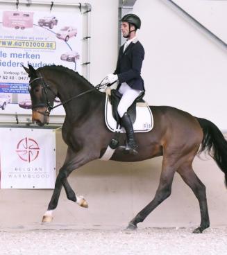 EmmersCup aanlegtesten dressuur EmmersCup aanlegtesten dressuur
