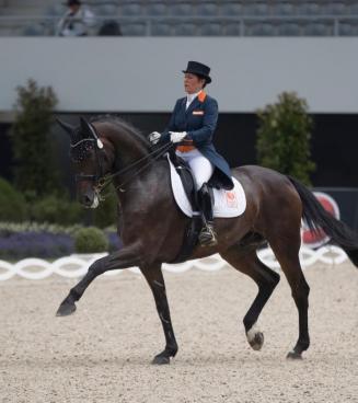Oefenavond 1: vrij springen BWP Limburg voor 2-, 3- en 4-jarige paarden Oefenavond 1: vrij springen BWP Limburg voor 2-, 3- en 4-jarige paarden