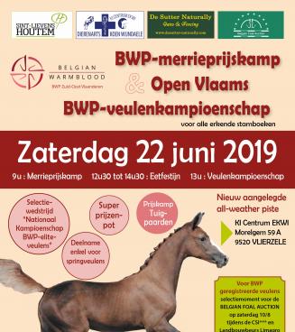 Open Vlaams BWP-veulenkampioenschap BWP Zuid-Oost-Vlaanderen met selectie Belgian Foal Auction Open Vlaams BWP-veulenkampioenschap BWP Zuid-Oost-Vlaanderen met selectie Belgian Foal Auction