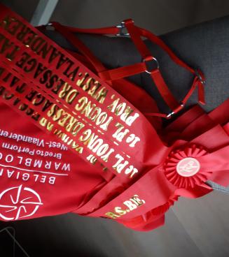 PROGRAMMA OVERZICHT EN RESULTAAT YOUNG DRESSAGE TALENTS 2019 PROGRAMMA OVERZICHT EN RESULTAAT YOUNG DRESSAGE TALENTS 2019