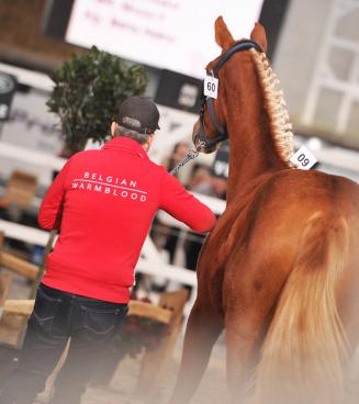 OEFENAVOND VRIJSPRINGEN OP 2/02 VAN GEWEST PITTEM/TORHOUT OEFENAVOND VRIJSPRINGEN OP 2/02 VAN GEWEST PITTEM/TORHOUT