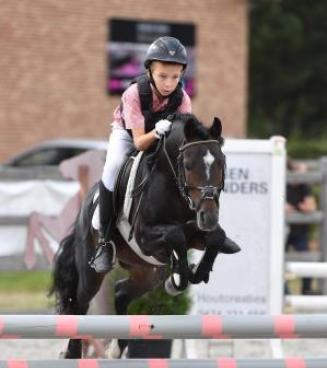 Wedstrijd Bestgaande Rijpony, Pulderbos (Antw & Limb) Wedstrijd Bestgaande Rijpony, Pulderbos (Antw & Limb)