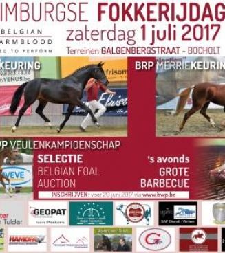 BRp Prijskamp, Limburg (Bocholt) BRp Prijskamp, Limburg (Bocholt)