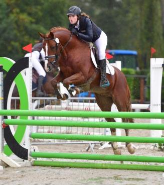 Wedstrijd Bestgaande Rijpony, Wallonië - Aiseau