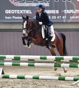 Nationale wedstrijd Bestgaande Rijpony