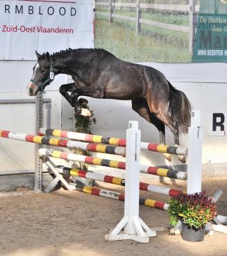 Open Kampioenschap Vrijspringen BWP Zuid-Oost-Vlaanderen