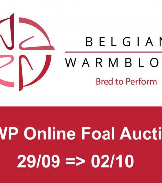 BWP Online Foal Auction BWP Online Foal Auction