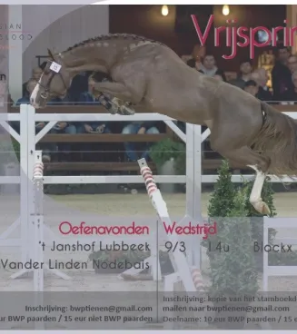2de oefenavond vrijspringen 2019 - BWP Tienen