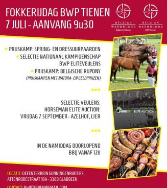 Slimmer kijken naar een paard - BWP Antwerpen Jaarvergadering Slimmer kijken naar een paard - BWP Antwerpen Jaarvergadering