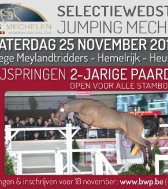 Vrijspringen 2-jarigen BWP Limburg - selectiewedstrijd Mechelen Vrijspringen 2-jarigen BWP Limburg - selectiewedstrijd Mechelen
