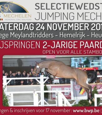 Vrijspringen 2-jarigen, BWP Limburg (selectie Mechelen) Vrijspringen 2-jarigen, BWP Limburg (selectie Mechelen)