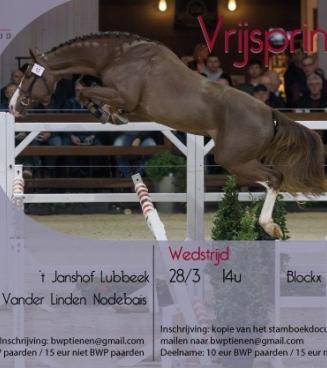 Wedstrijd Vrijspringen BWP Tienen Wedstrijd Vrijspringen BWP Tienen