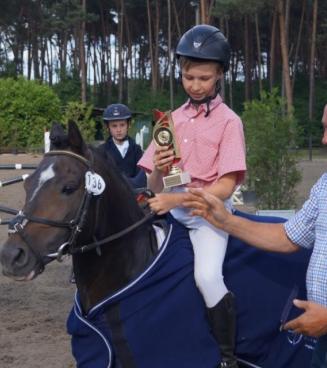 Bestgaande Rijpony, Antwerpen en Limburg (Pulderbos) Bestgaande Rijpony, Antwerpen en Limburg (Pulderbos)