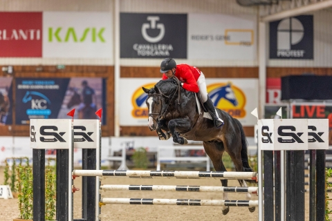 Waloutaire van de Looise Heide