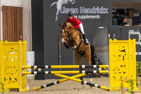 Wonderboy Blue v-d Meersarena