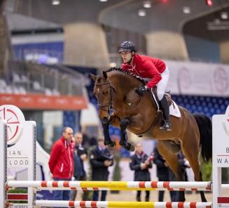 These stallions will participate in the third phase of the BWP stallion show These stallions will participate in the third phase of the BWP stallion show