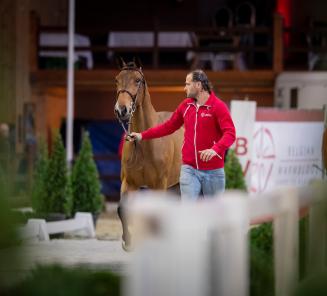 L'Expertise des Étalons BWP a commencé: suivez tout en direct via le livestream