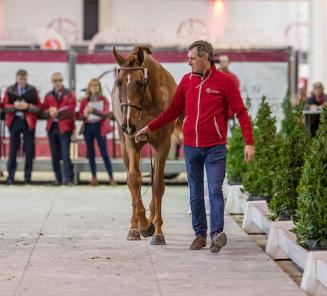 Program BWP Stallion Selection 