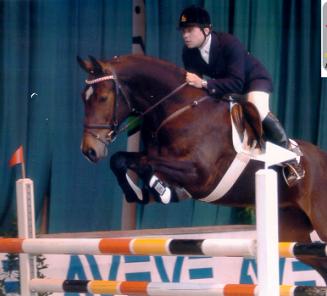 Sunshine voor Torinto van de Middelstede