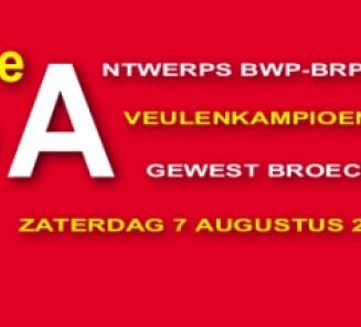 Antwerps Veulenkampioenschap Antwerps Veulenkampioenschap