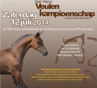 Zaterdag 12 juli: Gewestelijke merrieprijskamp en Open Vlaams Veulenkampioenschap BWP-gewest Oudenaarde Zaterdag 12 juli: Gewestelijke merrieprijskamp en Open Vlaams Veulenkampioenschap BWP-gewest Oudenaarde