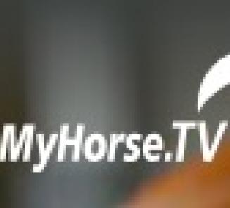 BWP Stallion Selection show on ClipMyHorse BWP Stallion Selection show on ClipMyHorse