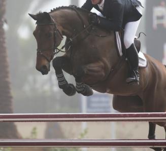 D'Ulien van de Smeets & Mclain Ward 3de in Wellington