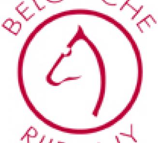 Vergeet uw inschrijving voor de ponyhengstenkeuring niet! Vergeet uw inschrijving voor de ponyhengstenkeuring niet!