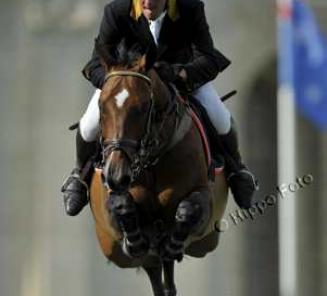 Farewell Torinto Of Middelstede Farewell Torinto Of Middelstede