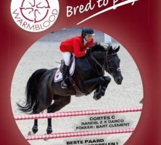 BWP Stallion Selection: the program