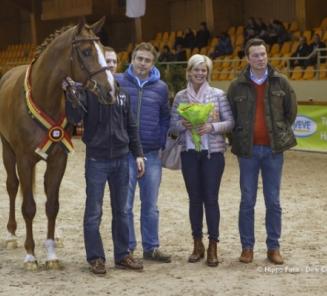 Manchester van ?t Paradijs champion stallion Manchester van ?t Paradijs champion stallion
